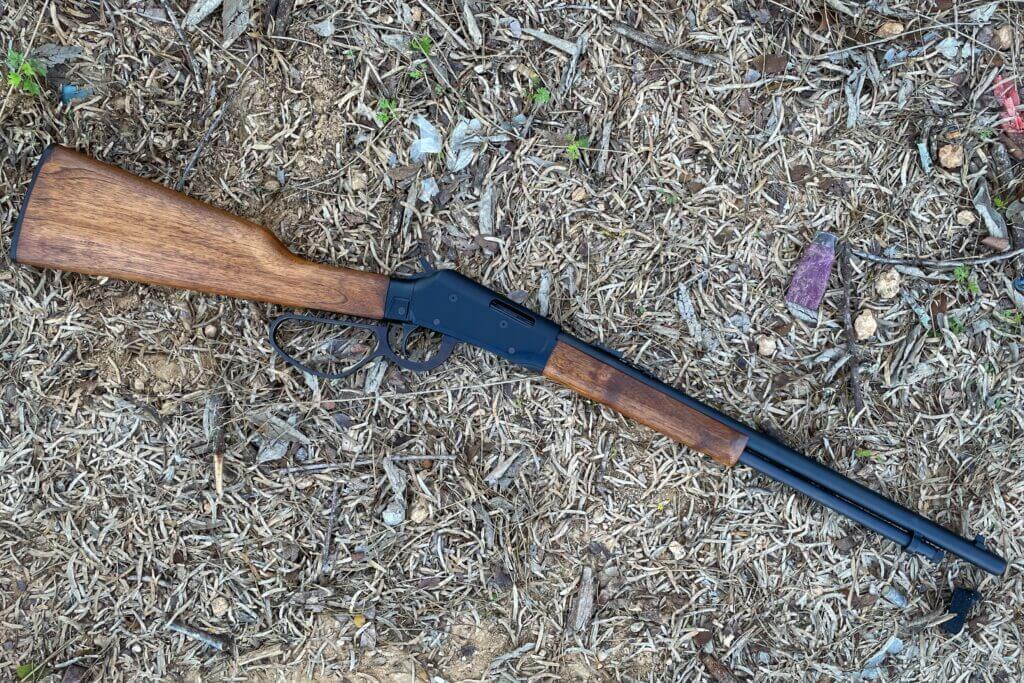 Savage Revel on grass