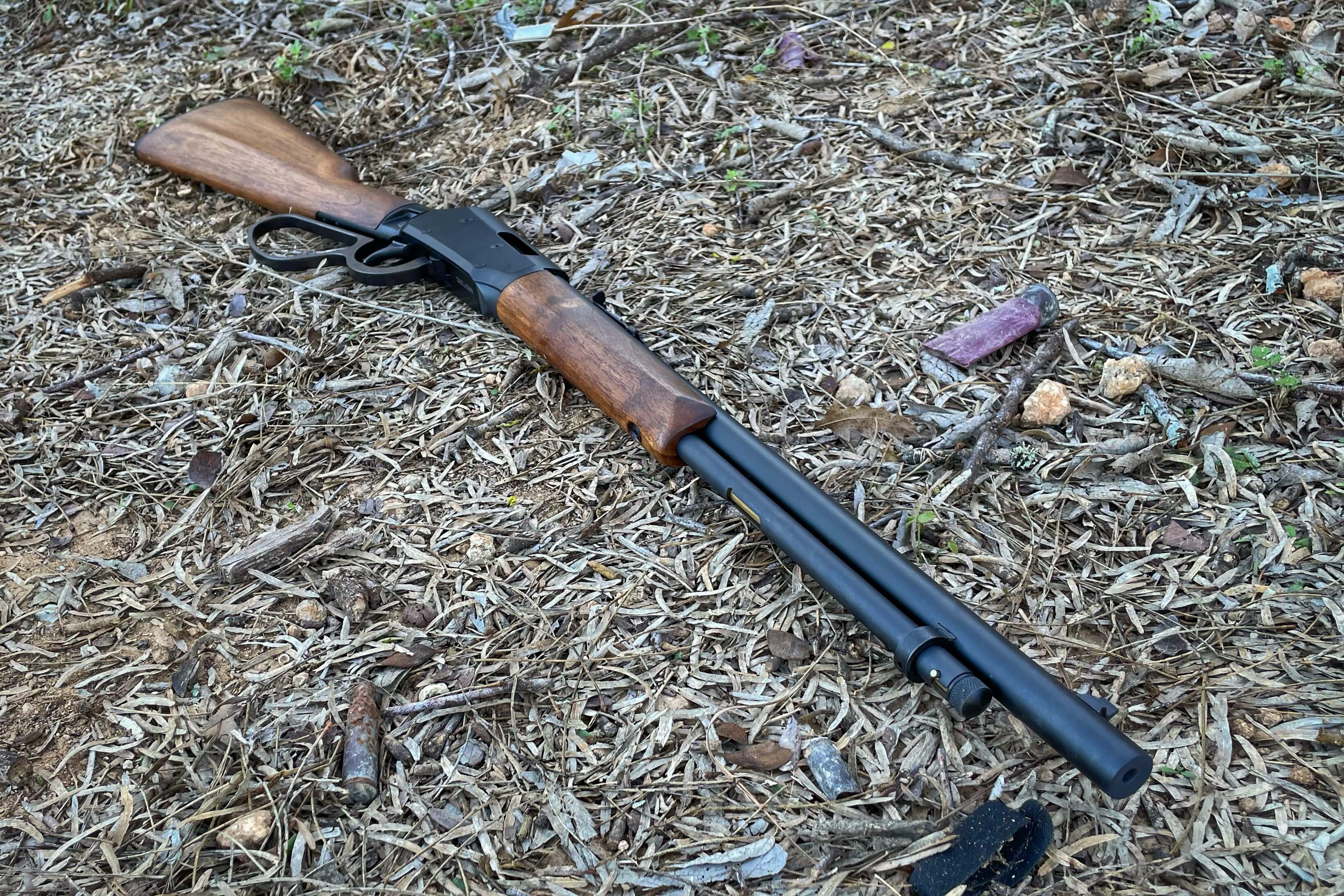 A New Lever Action 22