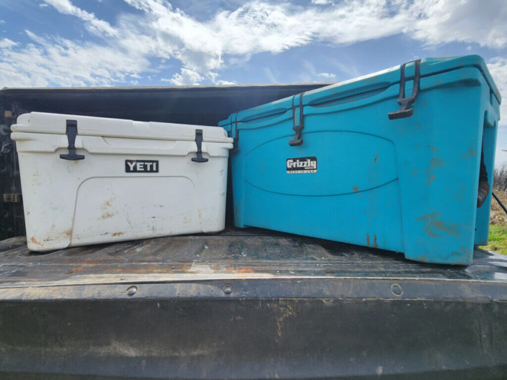 grizzly and yeti coolers
