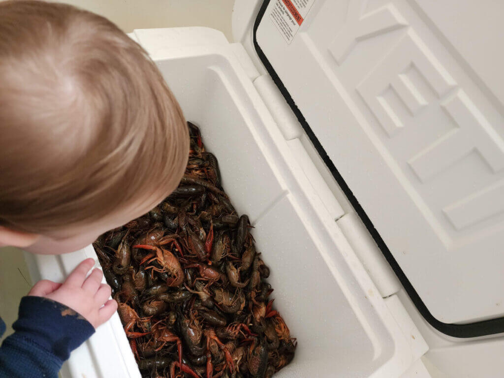 ice retention cooler