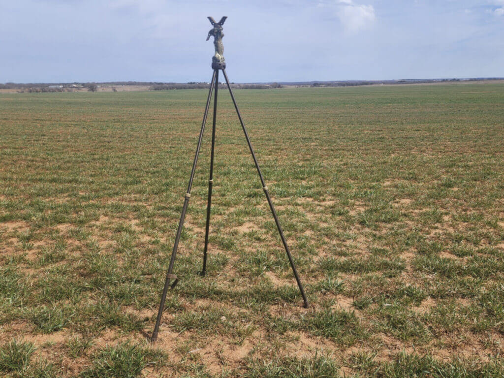 tripod at full height