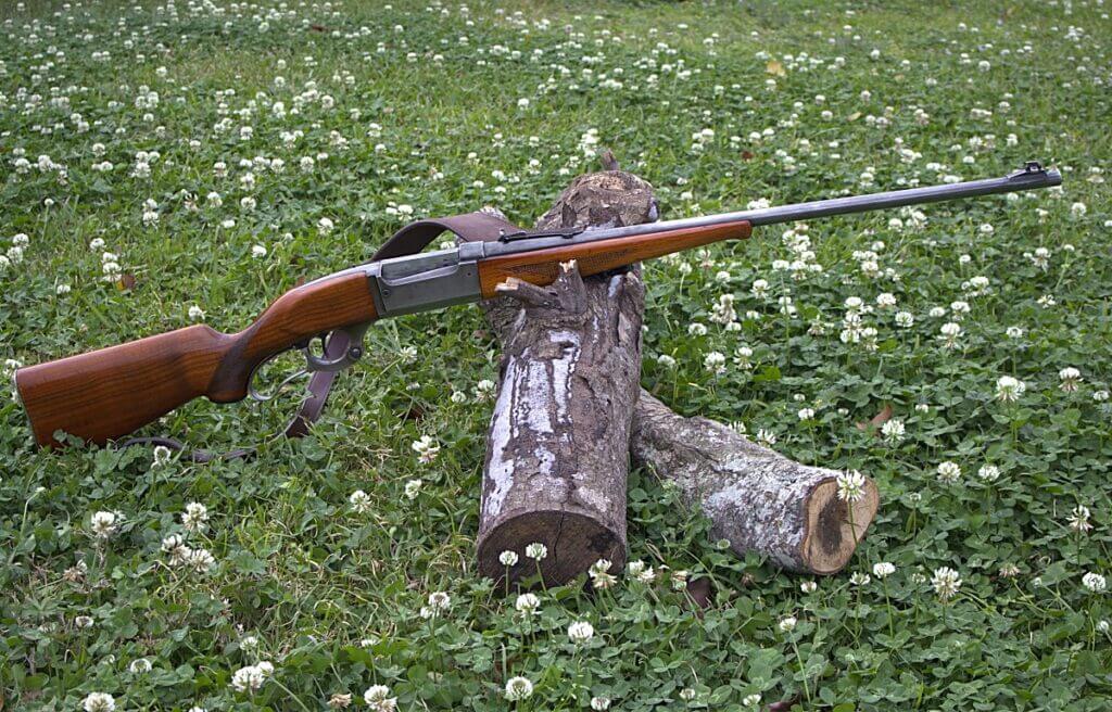 savage 99 rifle full view