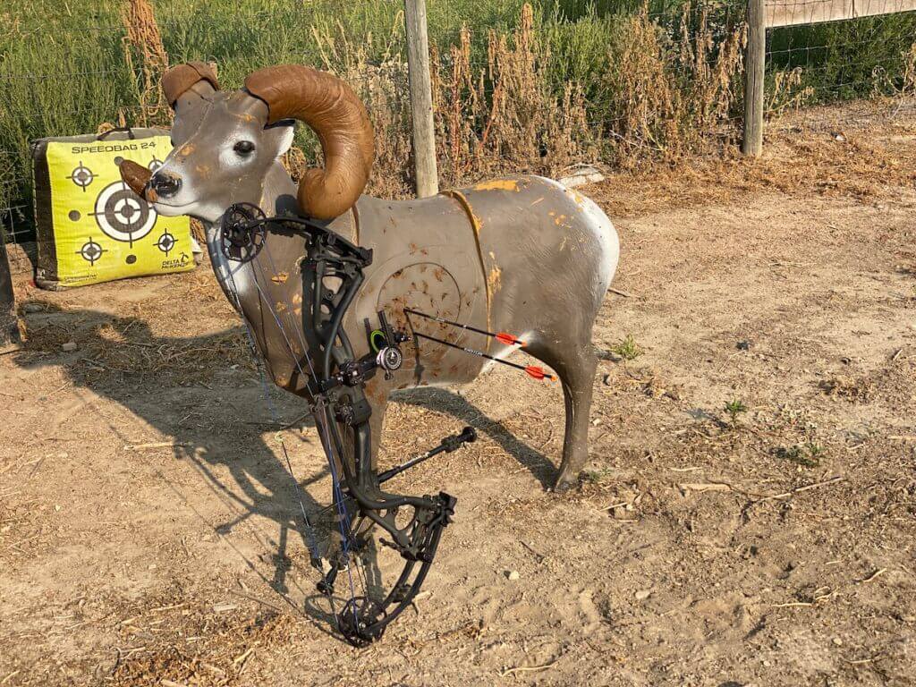 Delta McKenzie bighorn sheep 3D archery target used to reduce target panic