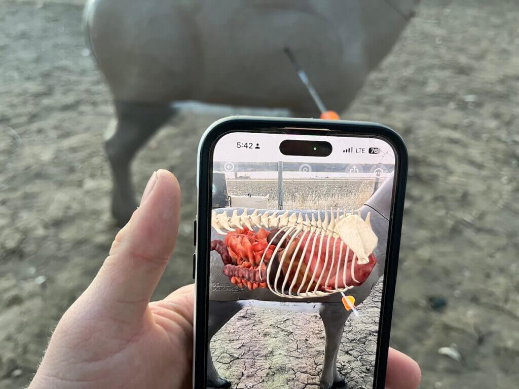 QuivAR app showing arrow placement inside a whitetail 3D target