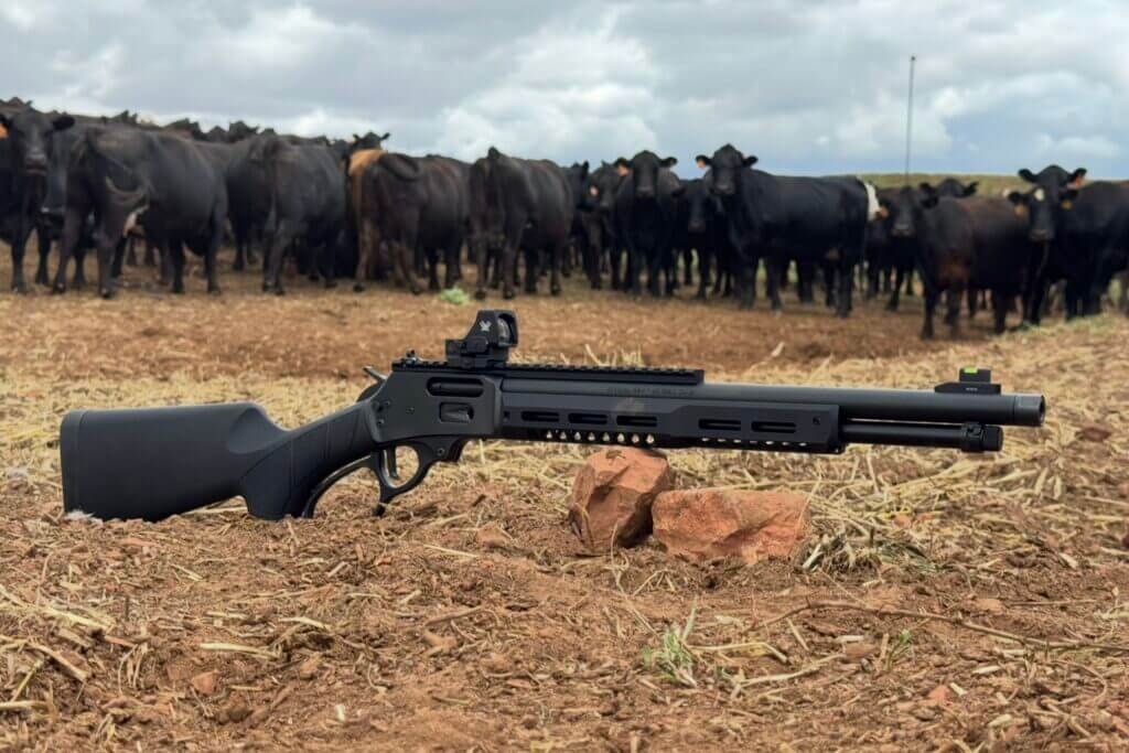 Smith & Wesson Model 1854 Stealth Hunter Review