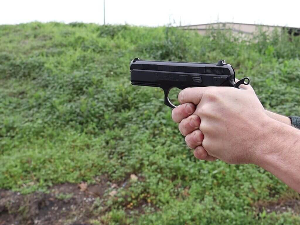 hands holding a pistol