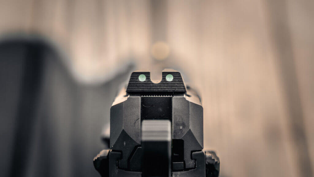 CZ Shadow 2 Carry Rear Sight