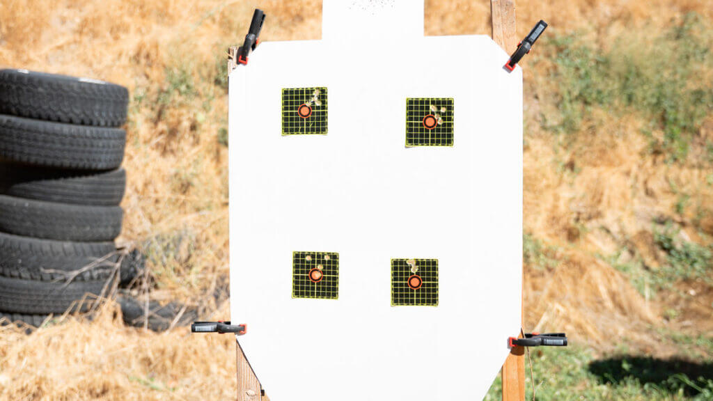 CZ Shadow 2 Carry Groups 