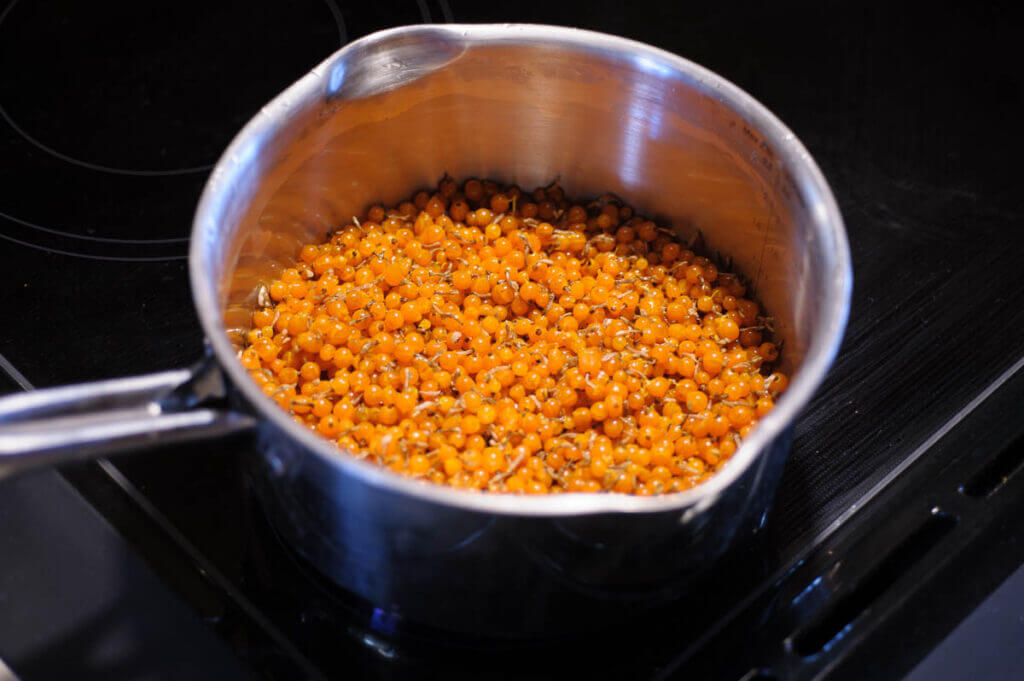 berreis in a sauce pan on a stove.