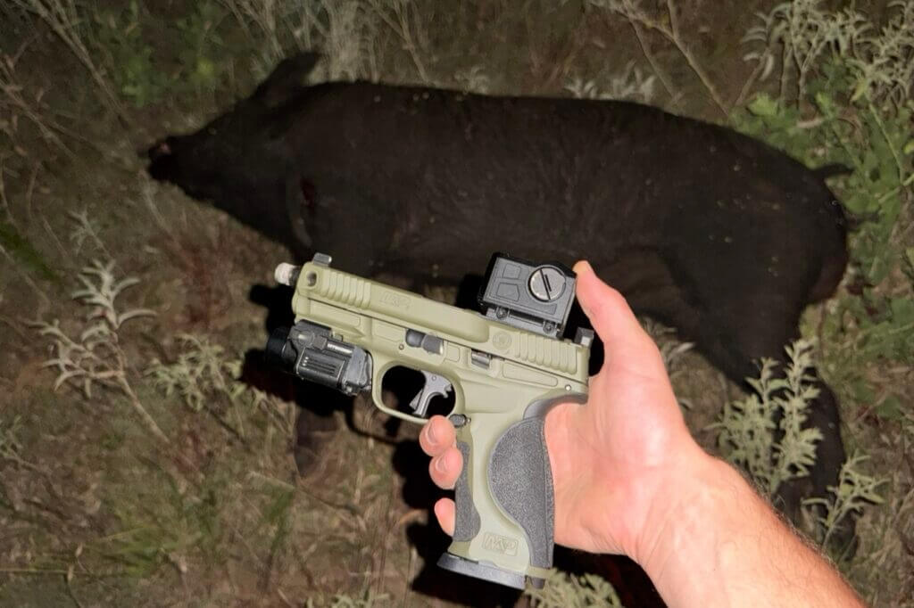 dead pig by pistol. FMP13