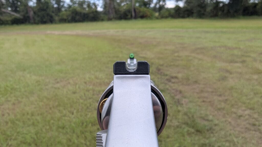sights on 940 9mm revolvers