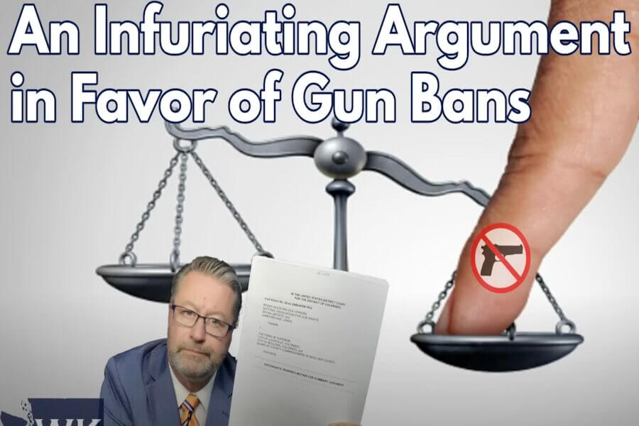 Arguments for a gun ban from a lawsuit.