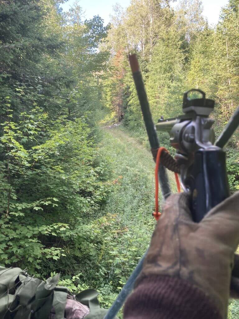 First Maine black bear stand site with bait 50 yards away and a Ruger Redhawk 41 Mag ready