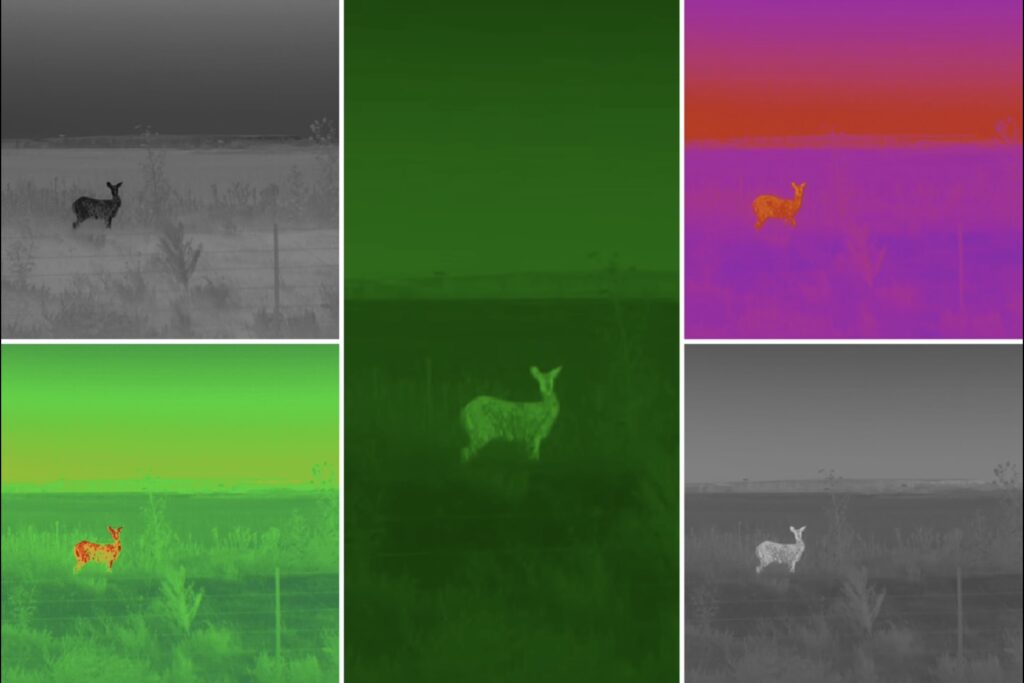Dark 30 Defiance PTZ deer image shown across color palettes white hot black hot rainbow magenta green