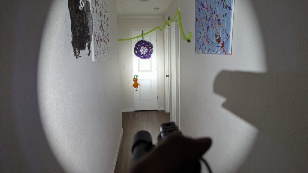 muzzle discipline with weapon light to avoid pointing at non-threats