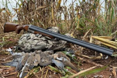 Charles Daly Triple Crown Review