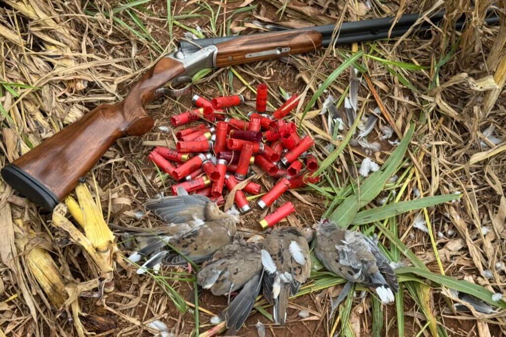 gun withshotgun shells. Triple Crown