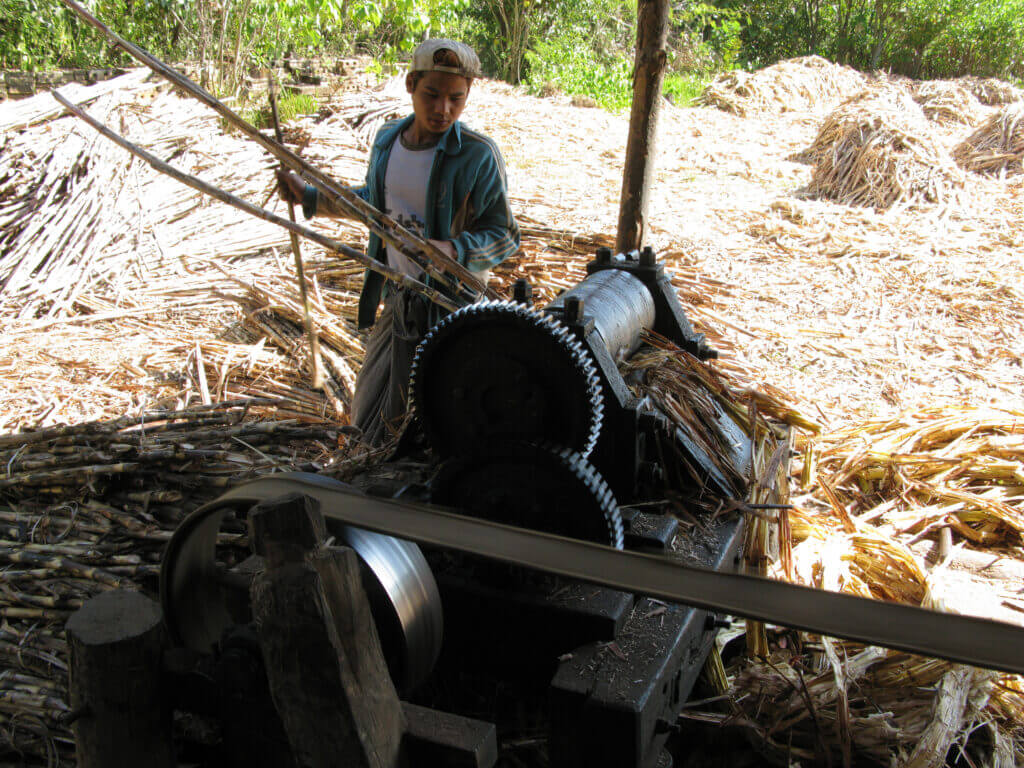 Traditional sugarcane press similar to the machine from Pedro’s early near killing