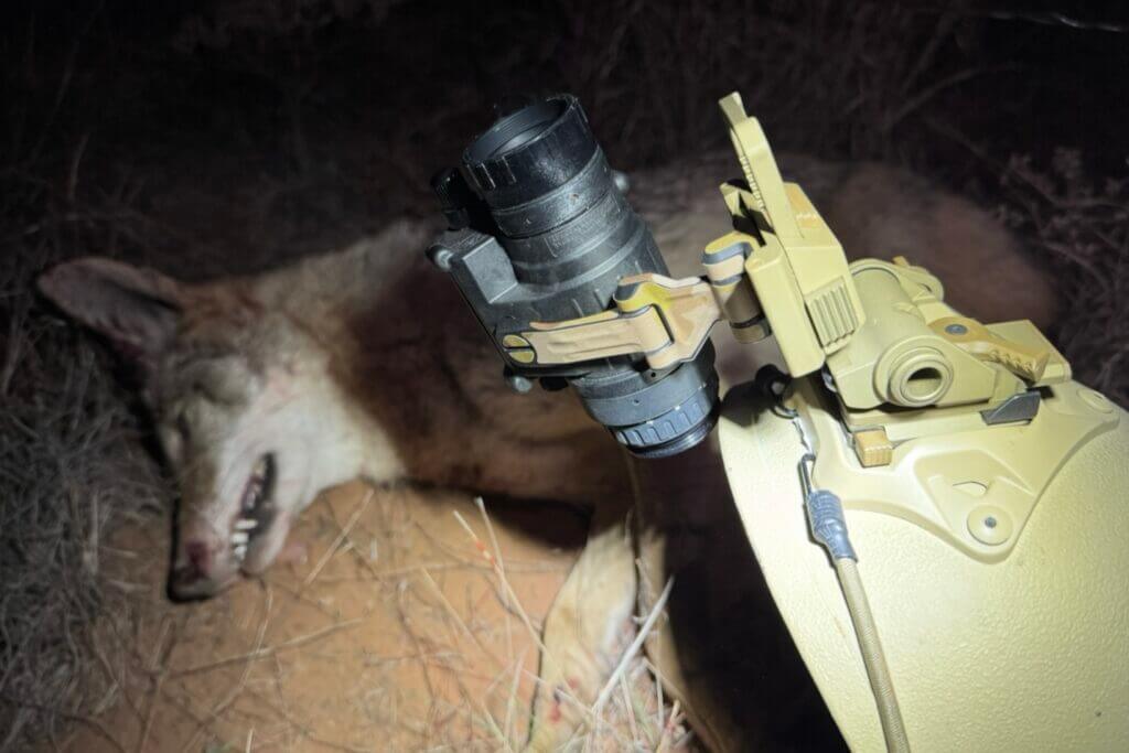 Coyote hunt success with PVS-14 secured by Noisefighters MAX14 mount