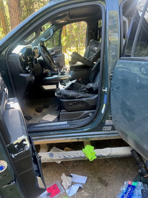 Interior wide shot showing shredded seats, ripped console, and debris after black bear feeding