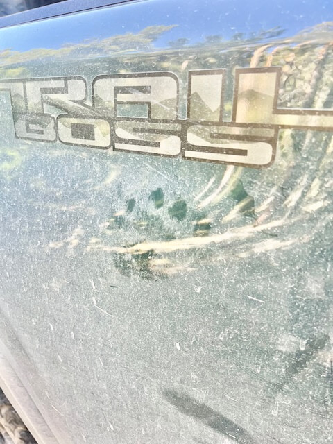 Detail of claw marks and torn weatherstripping from bear break in on Silverado door frame