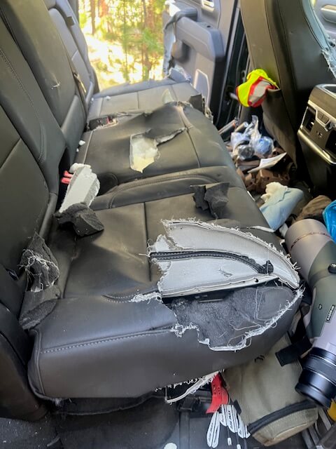 Exterior shot of Silverado with multiple claw scratches along bed and quarter panel in Montana