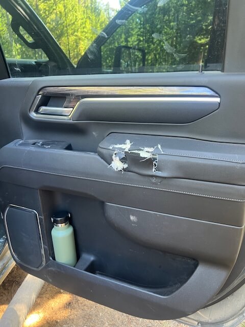 Rear seat area torn apart by black bear, foam chunks and wiring exposed in 2025 Silverado