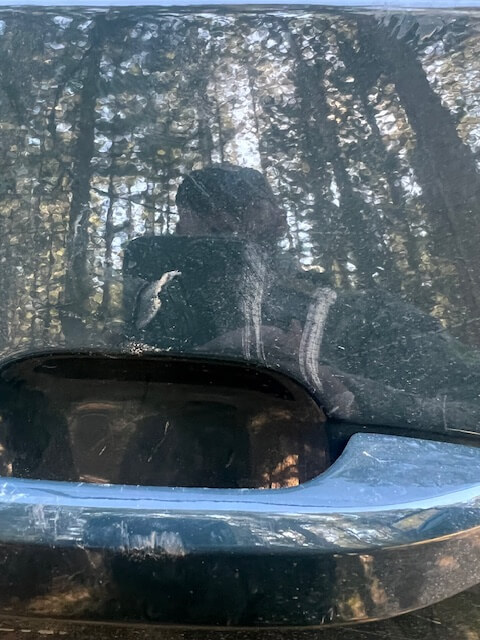 Roof and hood of Silverado streaked with claw scratches from black bear climbing over vehicle