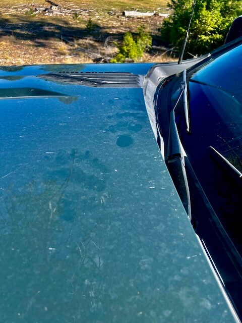 Close up of ripped headliner and tooth marks from black bear inside truck cab
