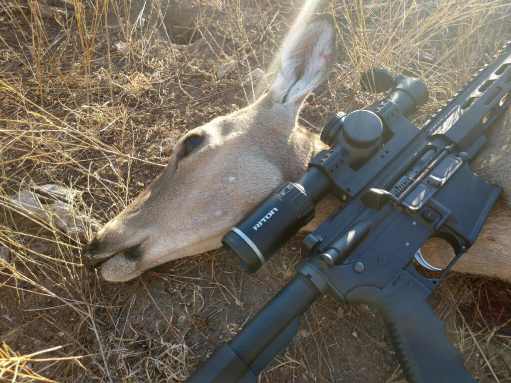 AR platform hunting rifle with harvested whitetail deer in the field