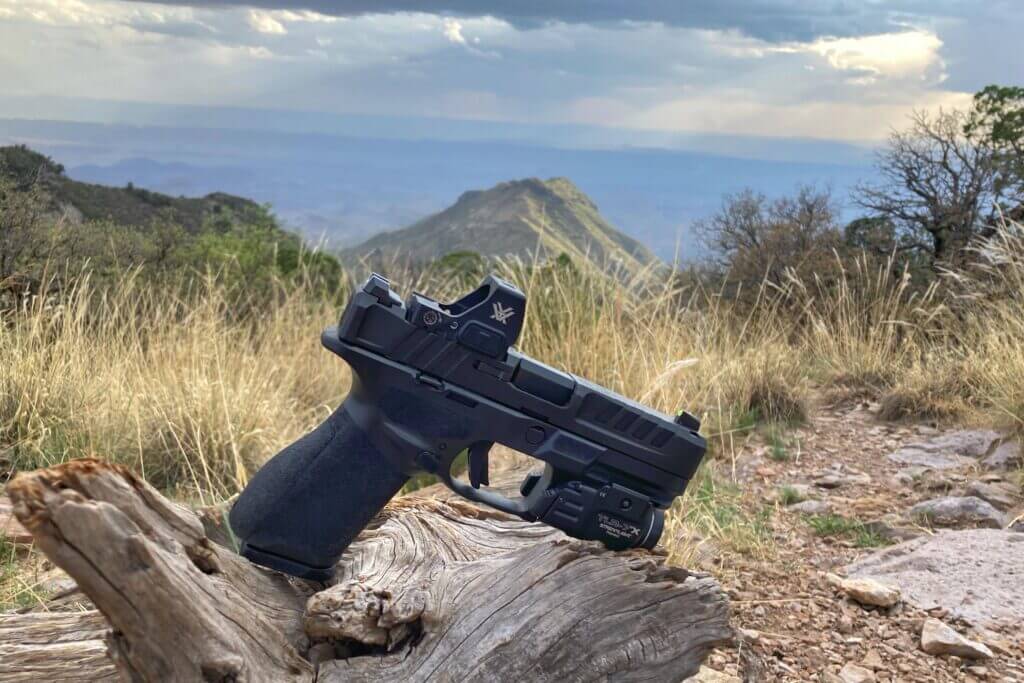 Echelon 4.0C compact 9mm resting on desert log with mountains in background
