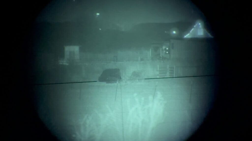 Livestock at distance viewed through Armasight CO-LR in low light