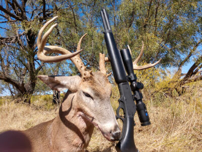 whitetail buck with rifle
