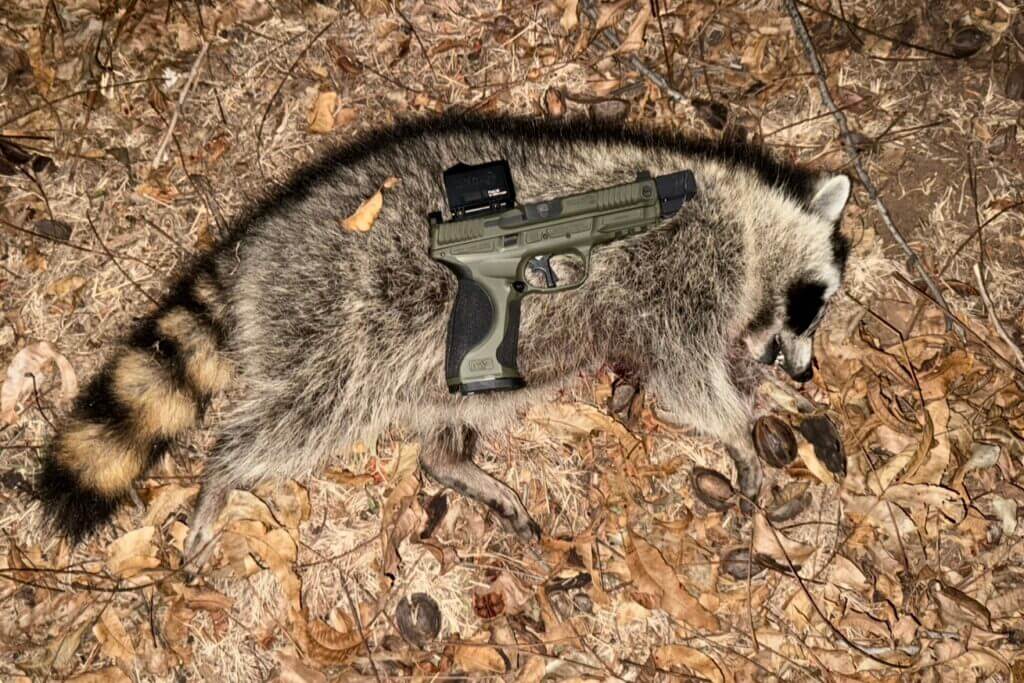 Garden protection with Infitac FML19 thermal helping identify varmints