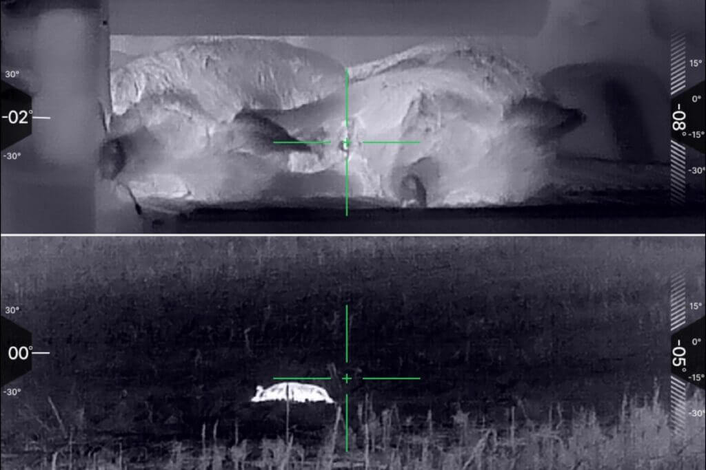 IOL25 thermal captures showing pigs at 10 yards and 60 yards during testing