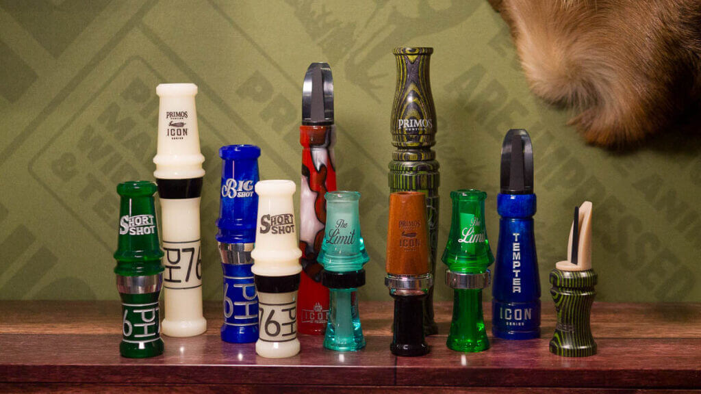 Photo of all the calls standing a shelf.