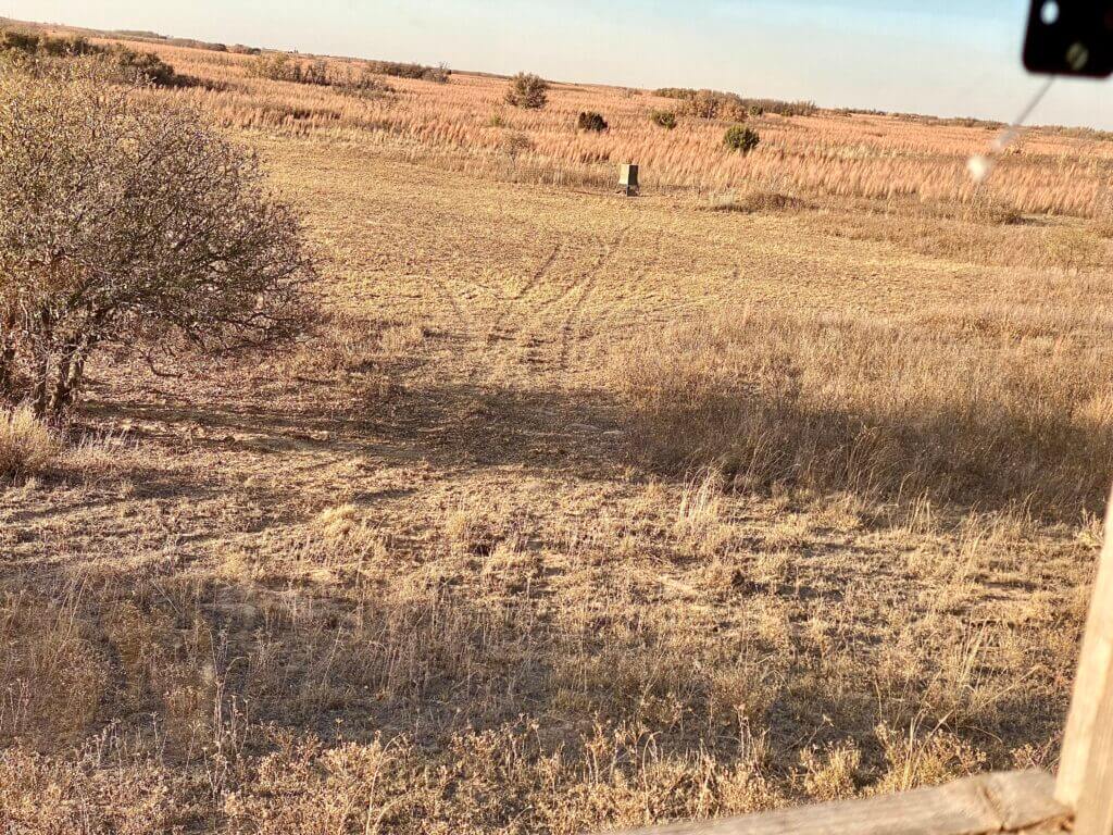 View from The Dink hunting stand overlooking shin oak prairie with feeder at 140 yards during Armasight thermal test