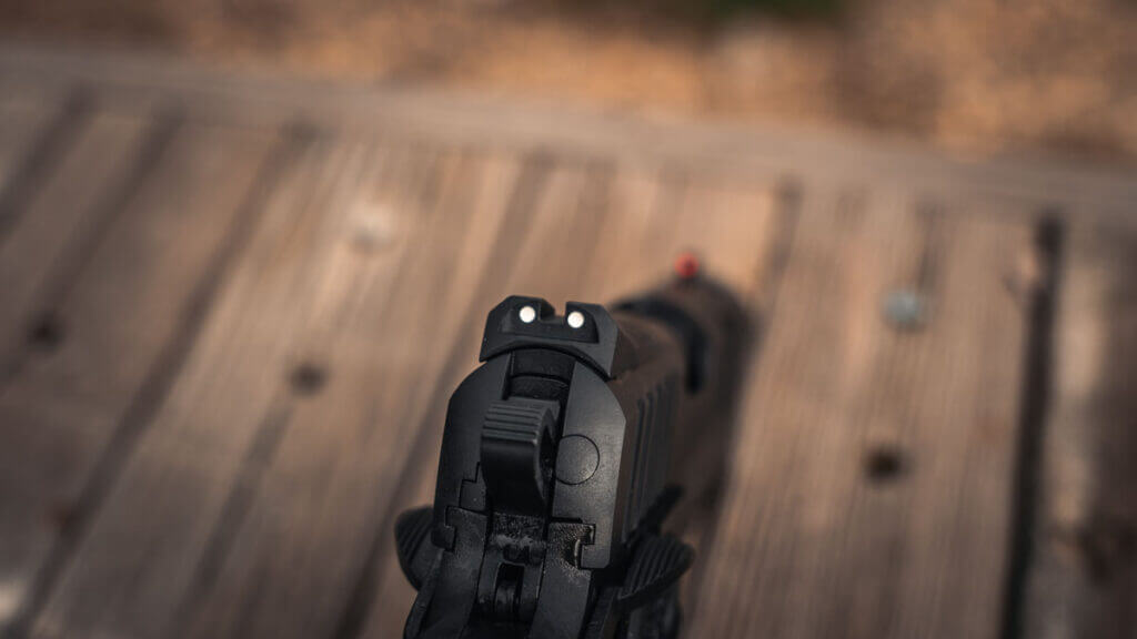 Steel rear sights with white dots mounted to the optic plate on the EAA Witness2311 CMXX