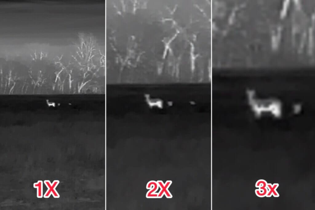 Vortex Veil 400 display view of deer at roughly 100 yards showing actual thermal image and zoom equivalents