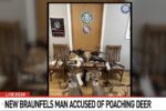 Texas game wardens investigate white-tailed deer poaching case involving 13 bucks across three Texas counties.