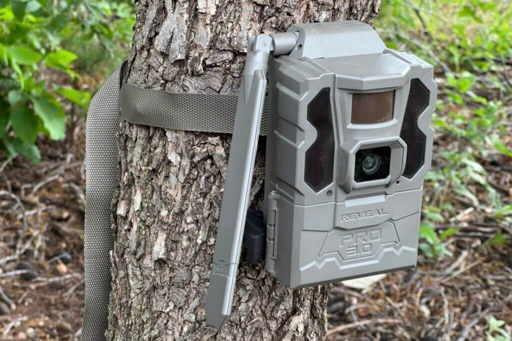 Tactacam REVEAL Pro 3.0 Review: Reliable Cellular Scouting