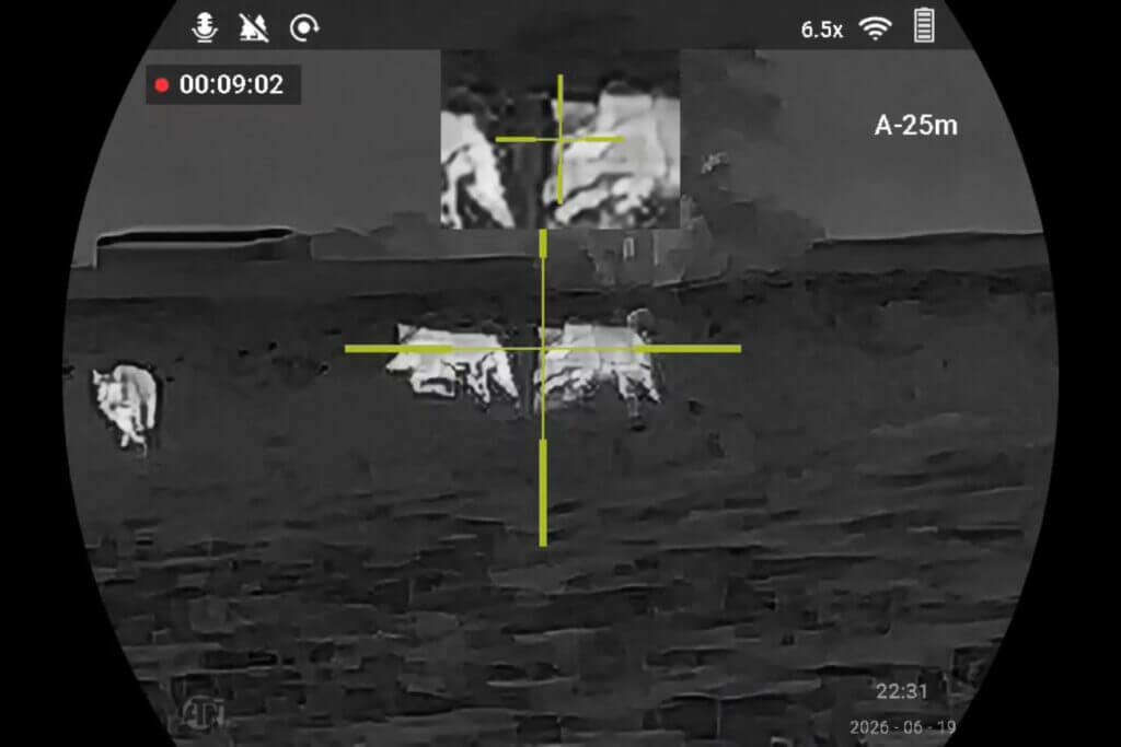 ATN ThOR 6 Mini 256 recorded thermal video screenshot from a pig hunt
