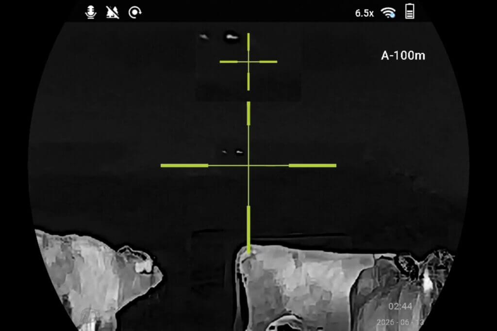 ATN ThOR 6 Mini 256 thermal view showing close cows at around 40 yards and distant cow heat blobs around 800 yards
