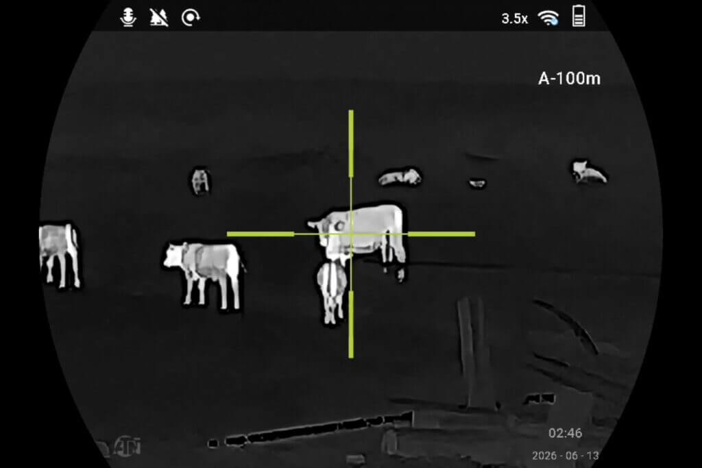 ATN ThOR 6 Mini 256 thermal image of cow at roughly 100 yards with distant grass shrubs and trees fading