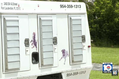 An animal control vehicle at the scene after two loose dogs attacked a family pet and injured a woman in Lighthouse Point, Florida.