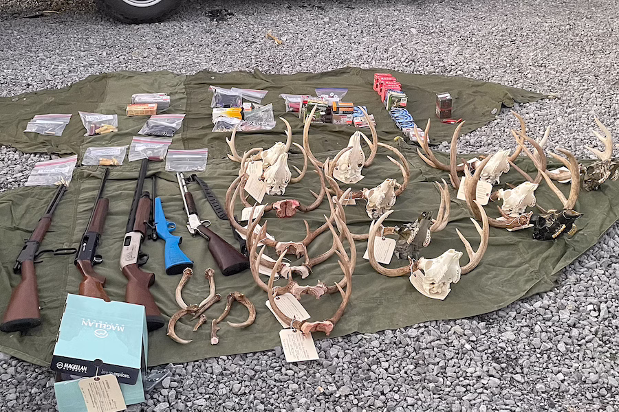 Working with multiple search warrants, WFF Enforcement was able to confiscate contraband, firearms, ammunition and antlers from illegally harvested deer. WFF Photo