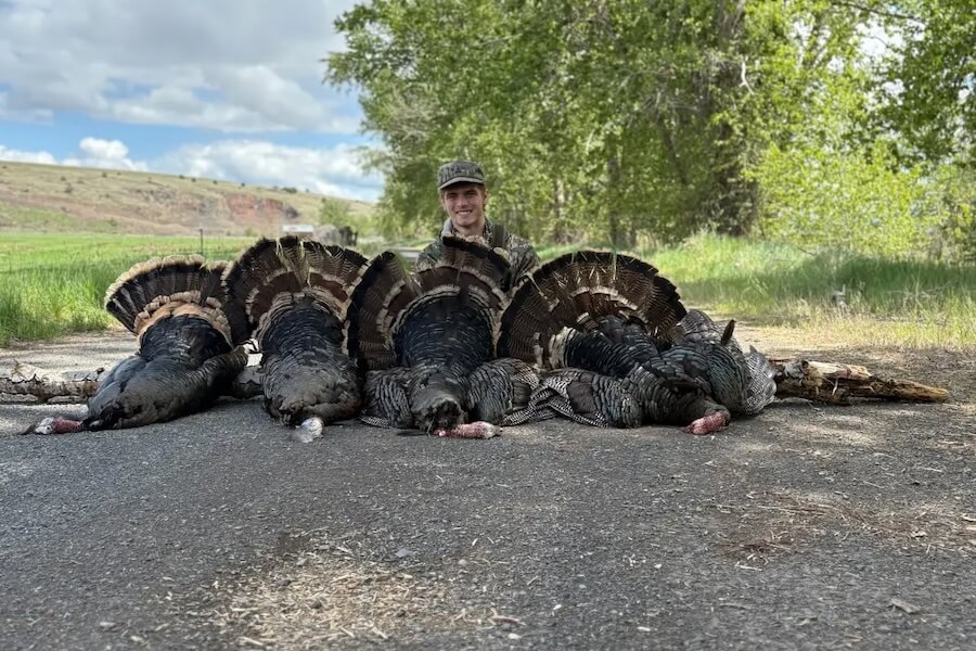 Carter J. Hickey poses behind several illegally taken wild turkeys in an outdoor photo.