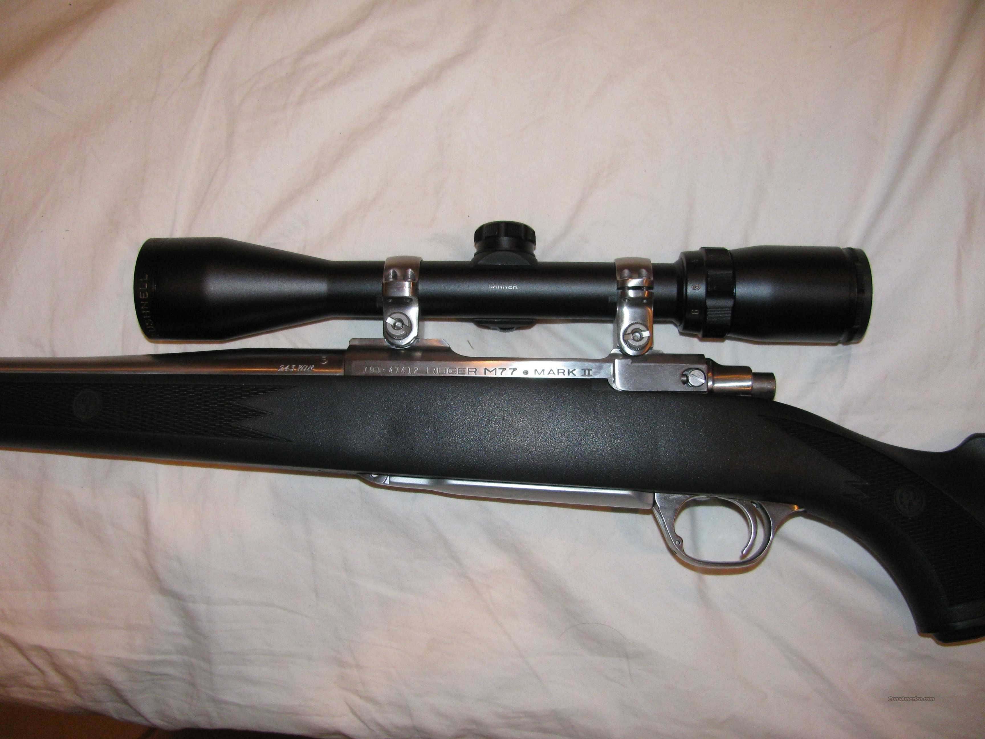 M77 Mark II 243 Stainless for sale