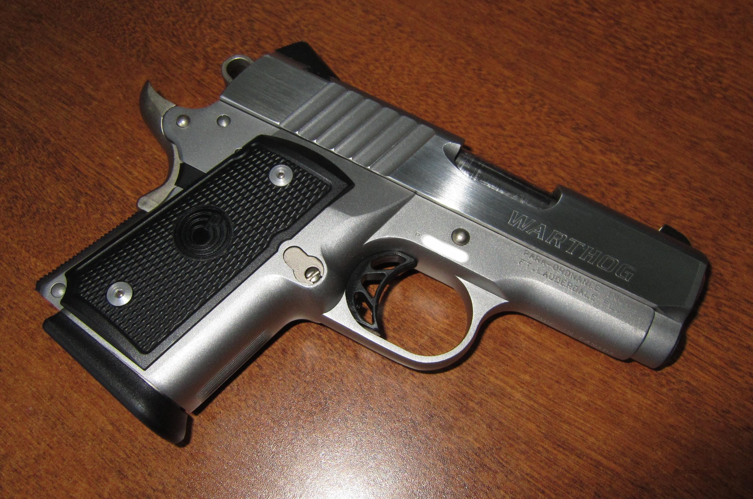 Para Warthog .45 ACP Stainless Steel 10+1 45ACP... for sale