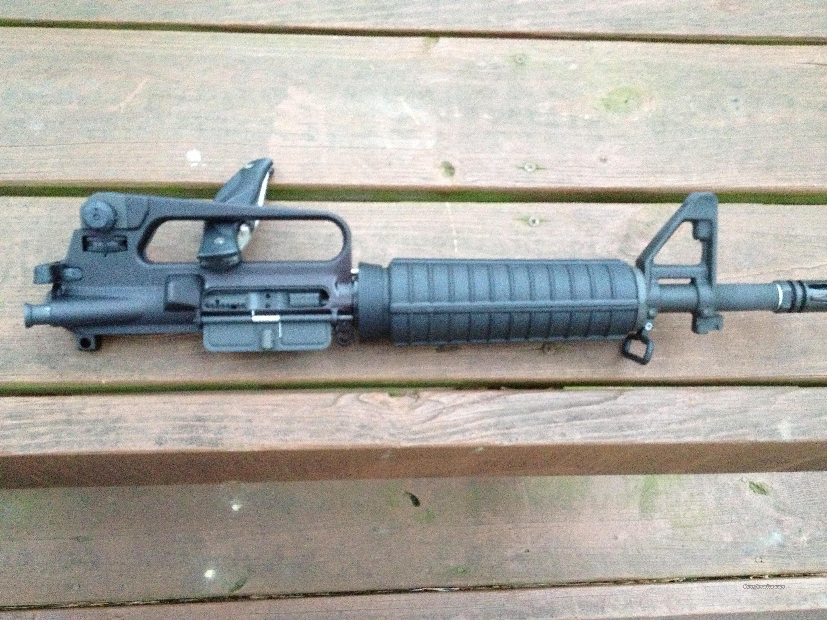 Bushmaster 12